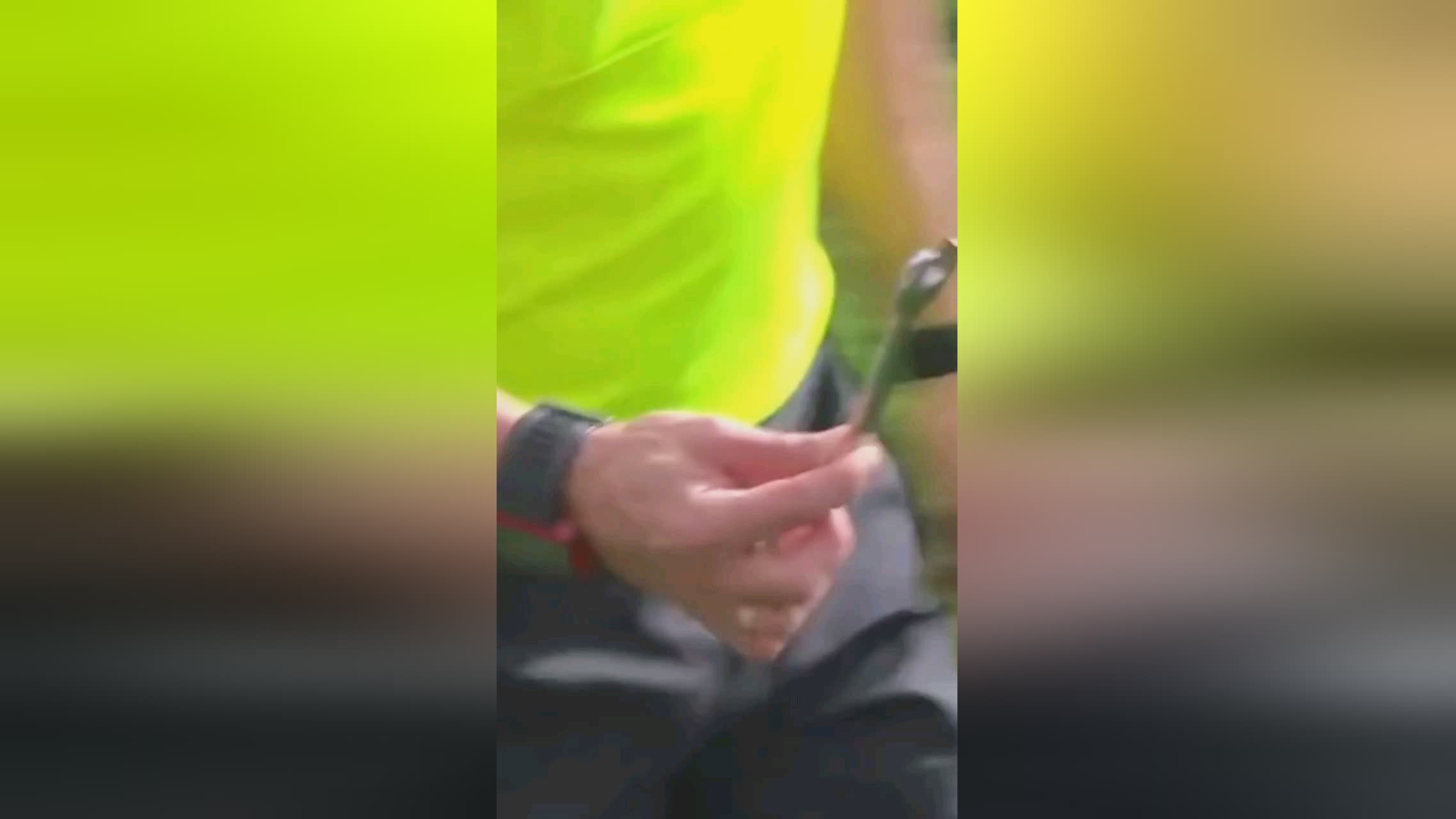 拉多所擅